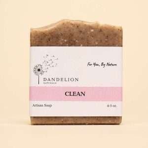 Clean Bar Soap